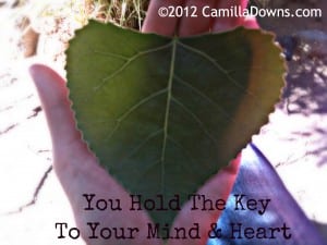 Heart Shaped Leaf