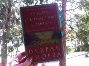 Seven Spiritual Laws for Parents Book