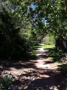 Trail at Wilbur May Arboretum May 2016 Date Day with Lillian