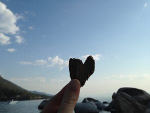 driftwood-heart-hidden-beach-august-2016