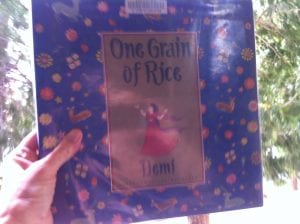 one-grain-of-rice-book-2016