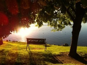 Bench Under Trees with Sun at Vintage Lake 2016