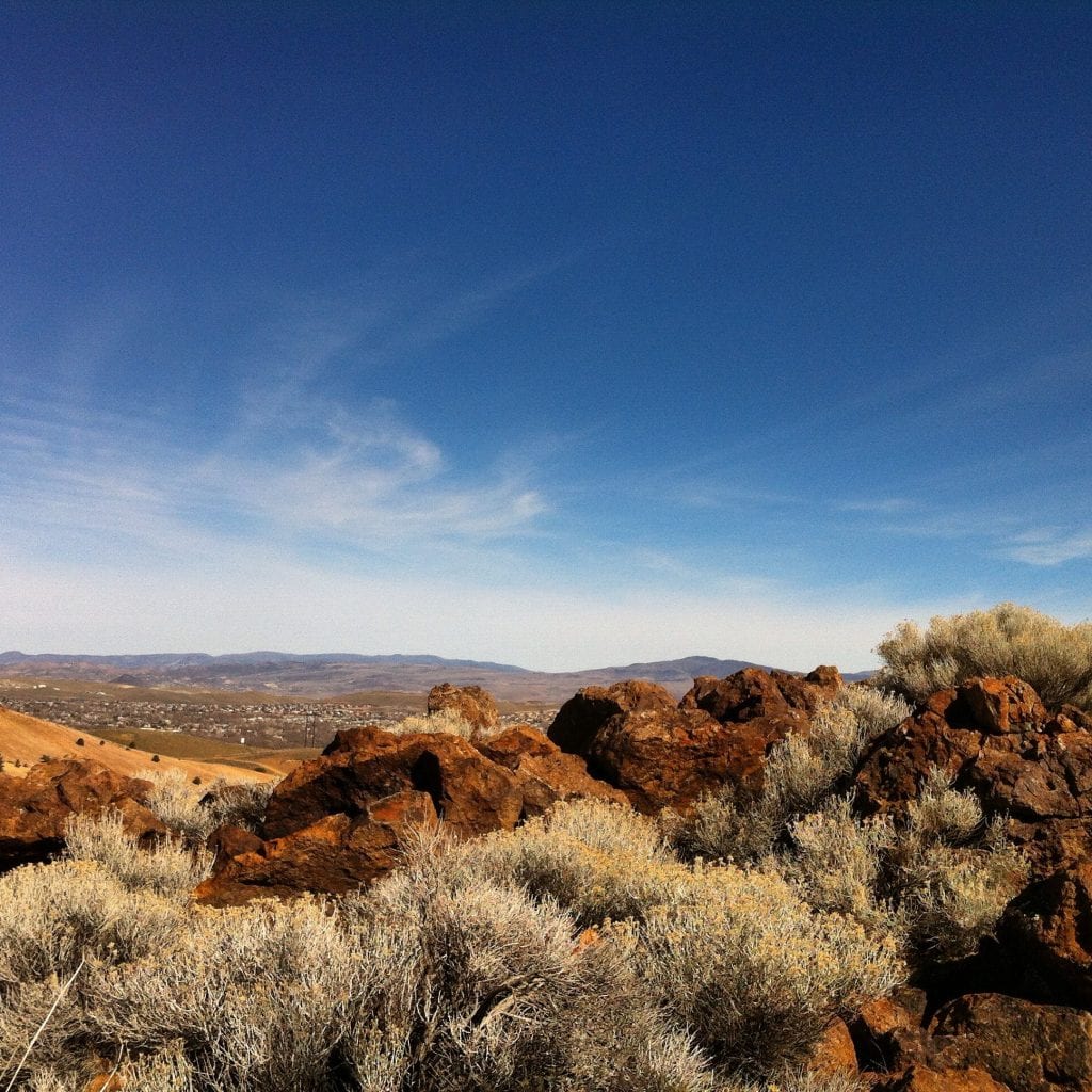 View from Near TMCC Spring 2015