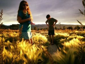 Team TLC Sunset Walk Damonte Ranch Trail 6.18.17 #10