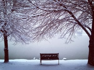 Bench in Snow Vintage Lake Brother Poem 2017