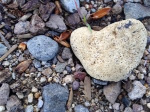 Heart Shaped Rock Love Shows Up 2017