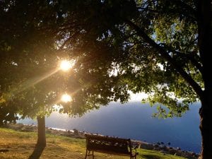 Be With the Pain Bench at Lake with Sun Beams Poem 2017