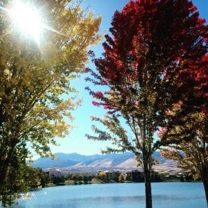 Fall Trees and Leaves Memory Lane Poem November 2017