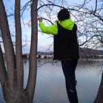 Tree Cut Down Vintage Lake 2017 #9