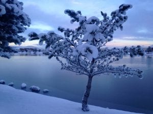 Winter Wonderland Walk Vintage Lake 1.24.17 #1