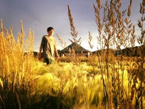 Team TLC Sunset Walk Damonte Ranch Trail 6.18.17 #1