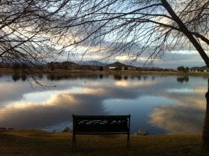 The Vintage Lake with Empty Bench February 2016